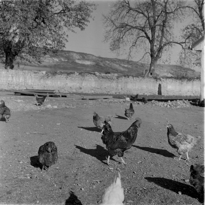 minerva_deak_f_c1_agrar-162