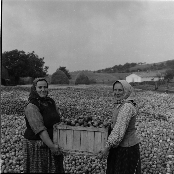 minerva_deak_f_c1_agrar-165