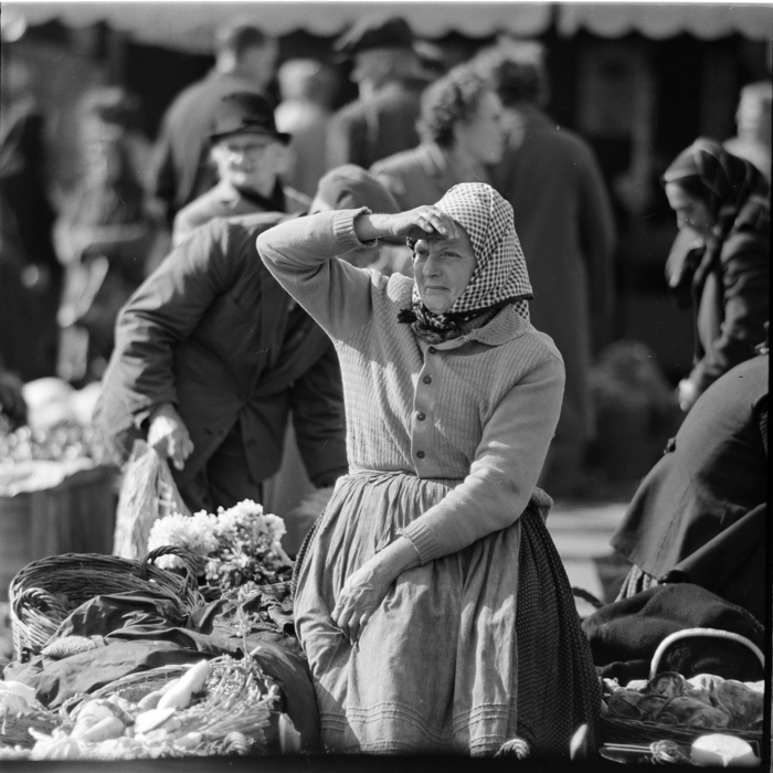 minerva_deak_f_c1_agrar-168