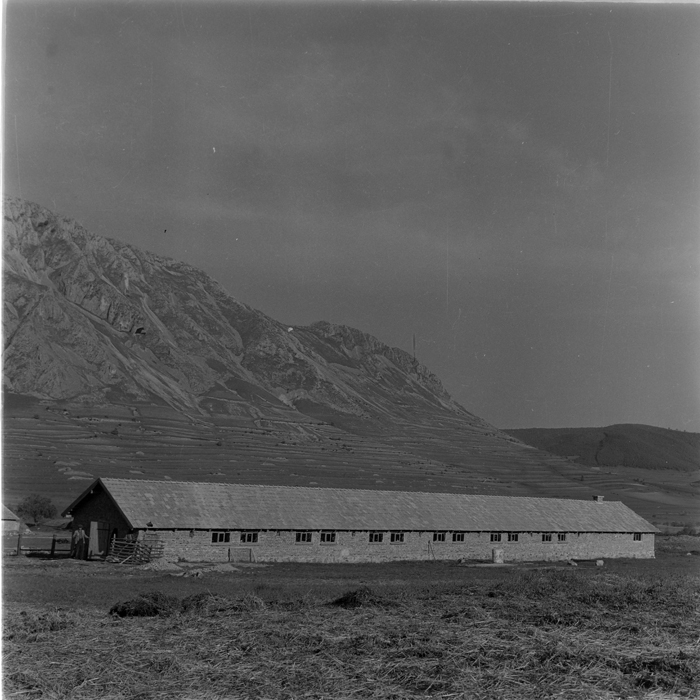 minerva_deak_f_c1_agrar-172