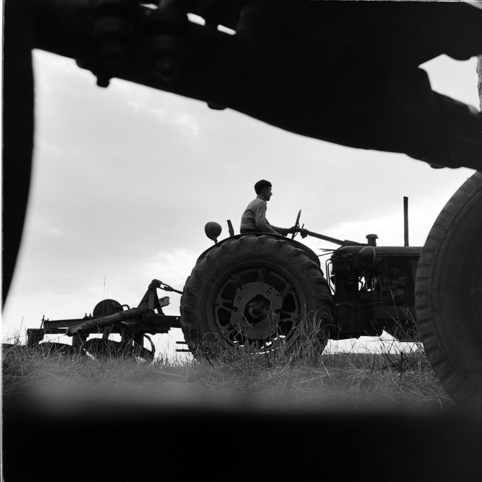 minerva_deak_f_c1_agrar-173