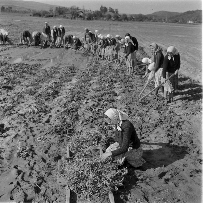 minerva_deak_f_c1_agrar-174