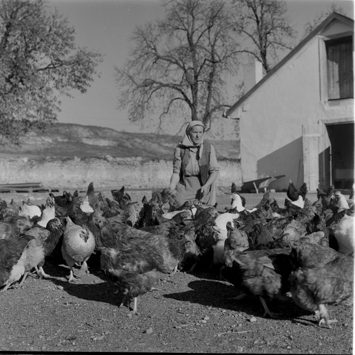 minerva_deak_f_c1_agrar-175