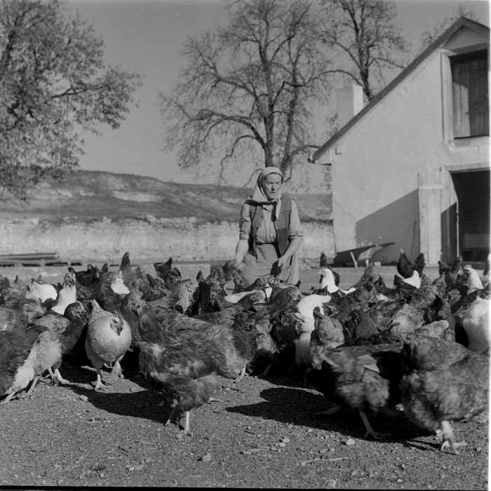 minerva_deak_f_c1_agrar-176