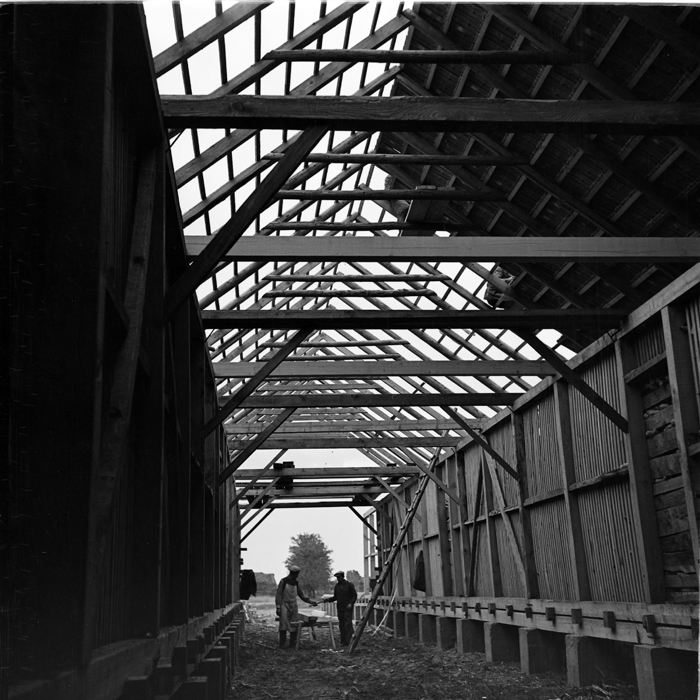 minerva_deak_f_c1_agrar-177