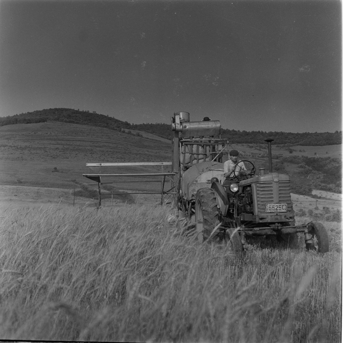 minerva_deak_f_c1_agrar-178