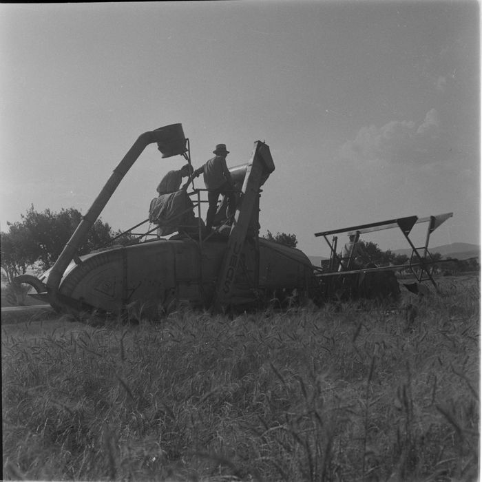 minerva_deak_f_c1_agrar-179