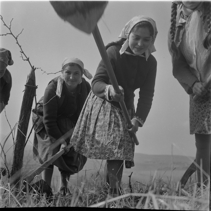 minerva_deak_f_c1_agrar-180