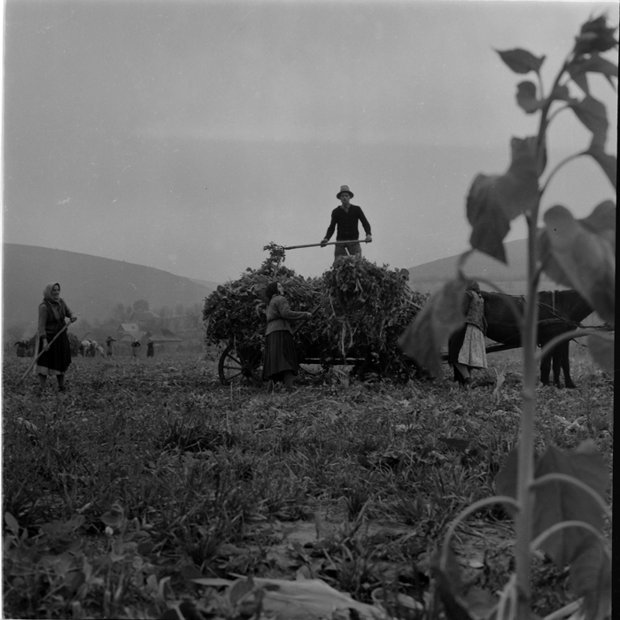 minerva_deak_f_c1_agrar-181