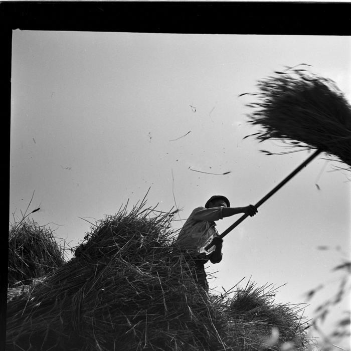 minerva_deak_f_c1_agrar-182