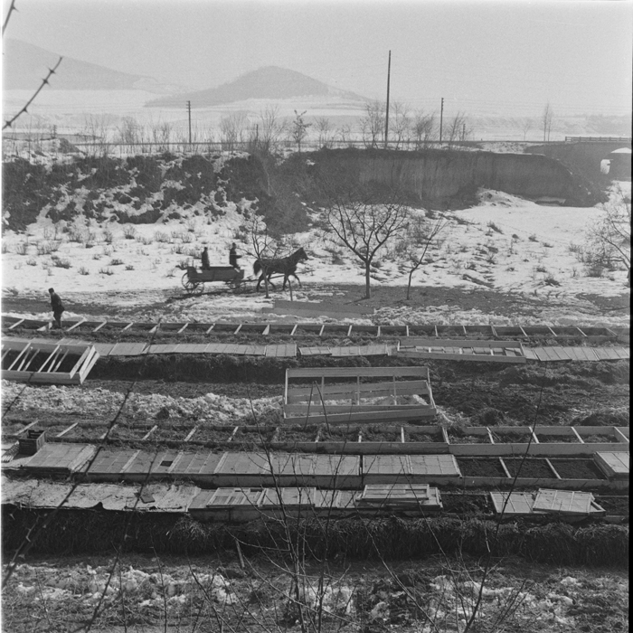 minerva_deak_f_c1_agrar-183