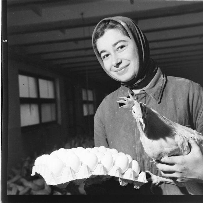 minerva_deak_f_c1_agrar-185