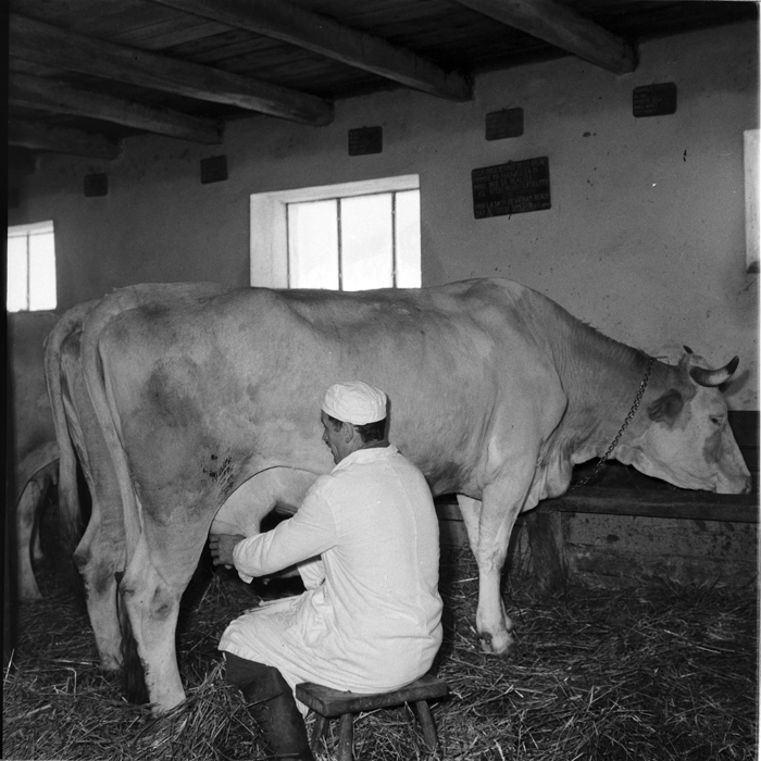 minerva_deak_f_c1_agrar-186