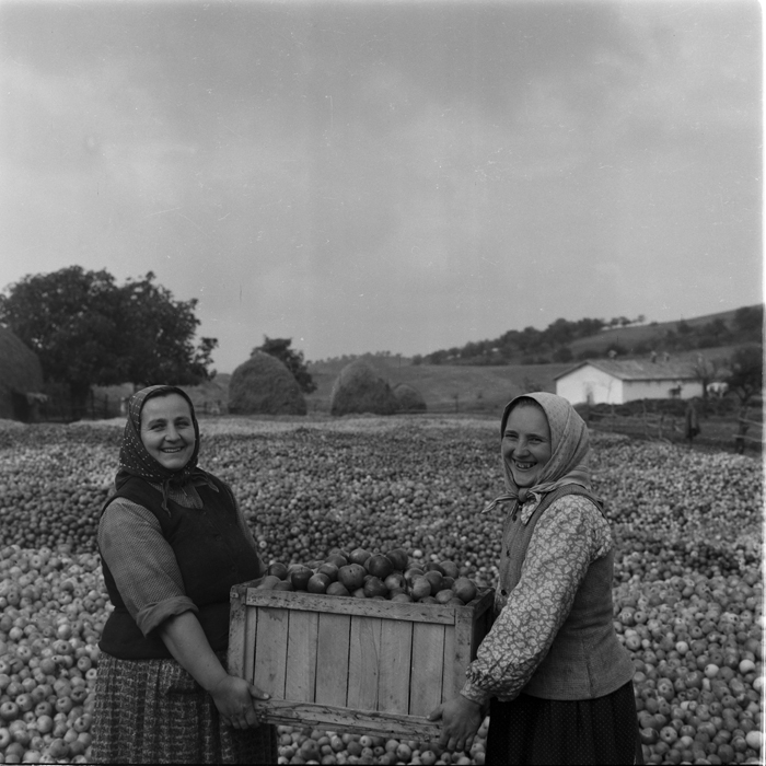 minerva_deak_f_c1_agrar-187