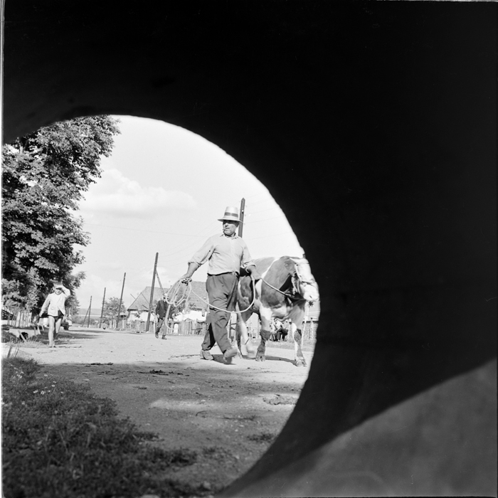 minerva_deak_f_c1_agrar-190