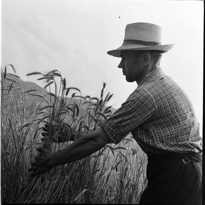 minerva_deak_f_c1_agrar-191