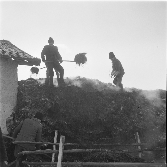 minerva_deak_f_c1_agrar-192