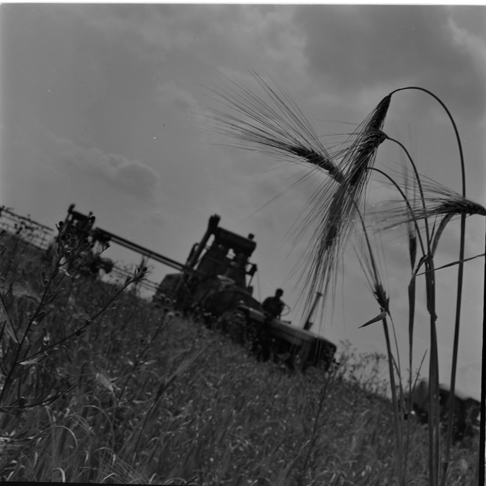 minerva_deak_f_c1_agrar-193