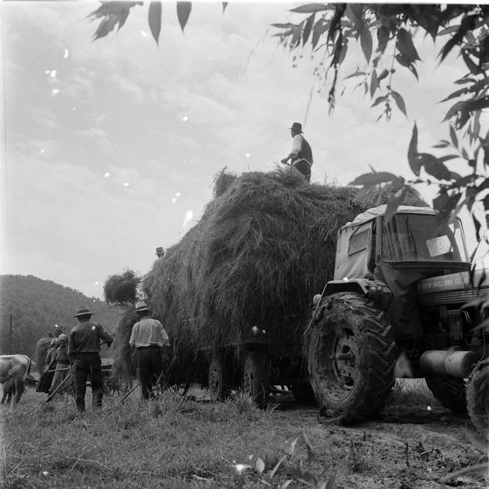 minerva_deak_f_c1_agrar-194