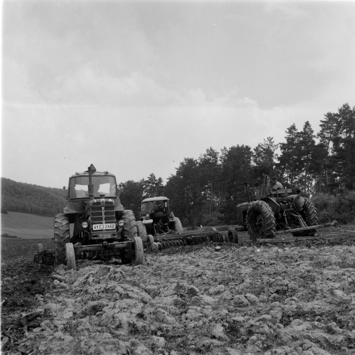 minerva_deak_f_c1_agrar-198