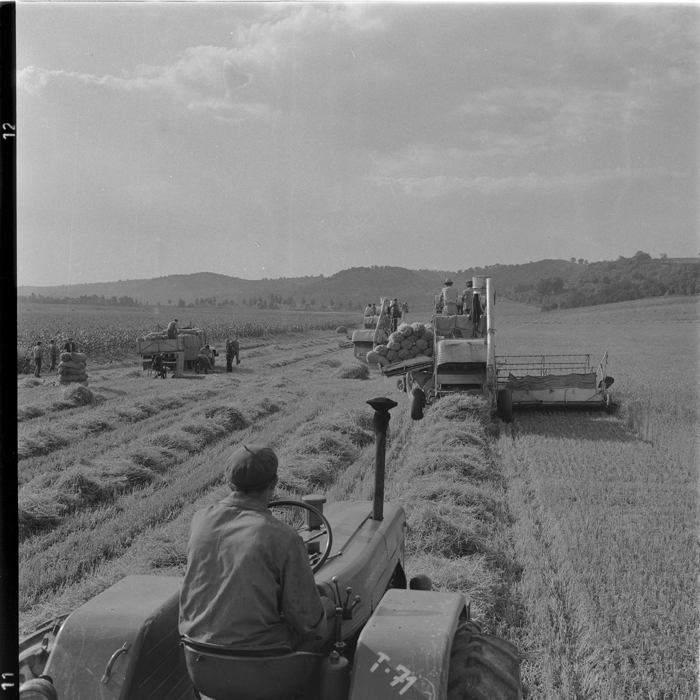 minerva_deak_f_c1_agrar-199