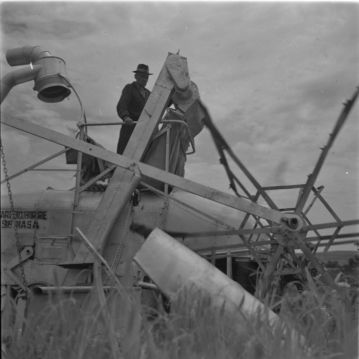 minerva_deak_f_c1_agrar-201