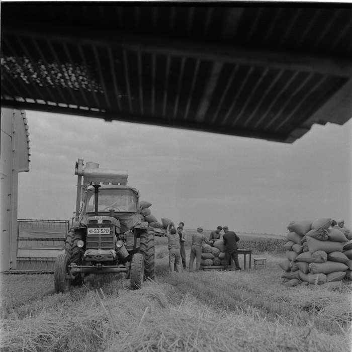 minerva_deak_f_c1_agrar-205