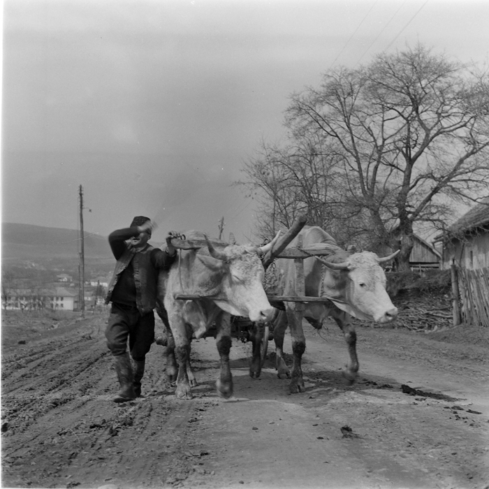 minerva_deak_f_c1_agrar-206