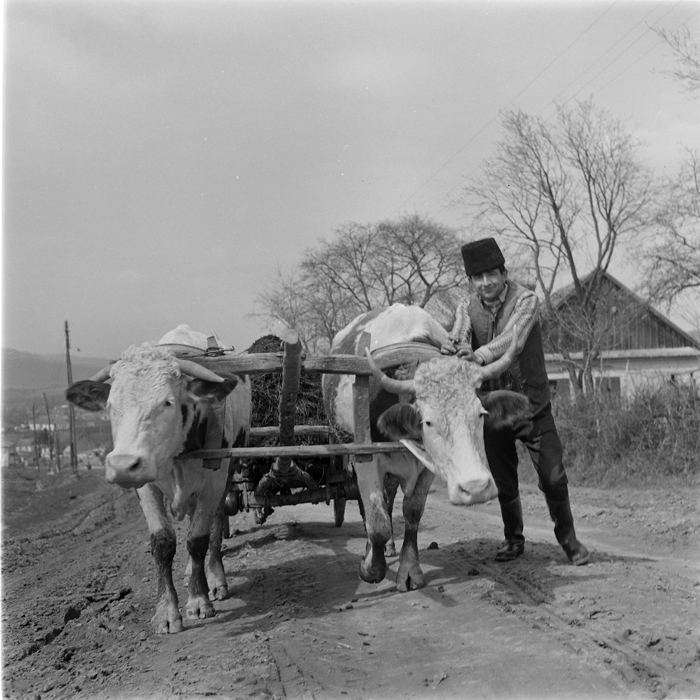 minerva_deak_f_c1_agrar-207