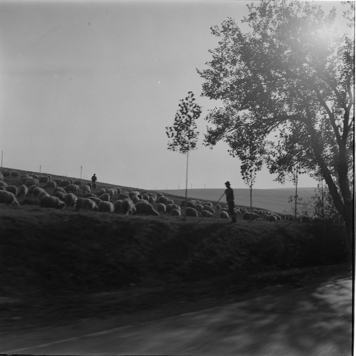 minerva_deak_f_c1_agrar-212