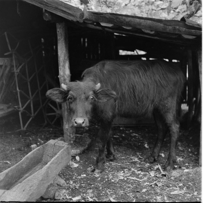 minerva_deak_f_c1_agrar-213