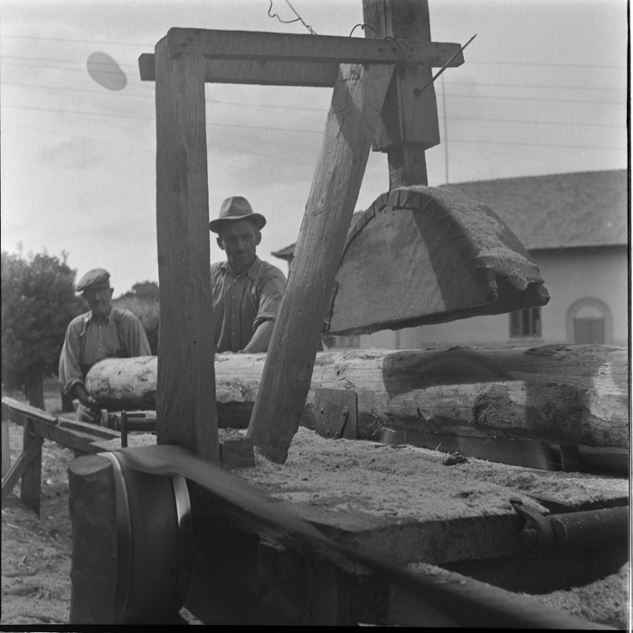 minerva_deak_f_c1_agrar-215