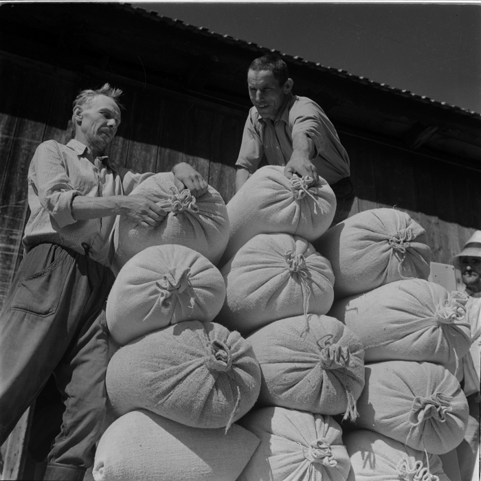 minerva_deak_f_c1_agrar-216