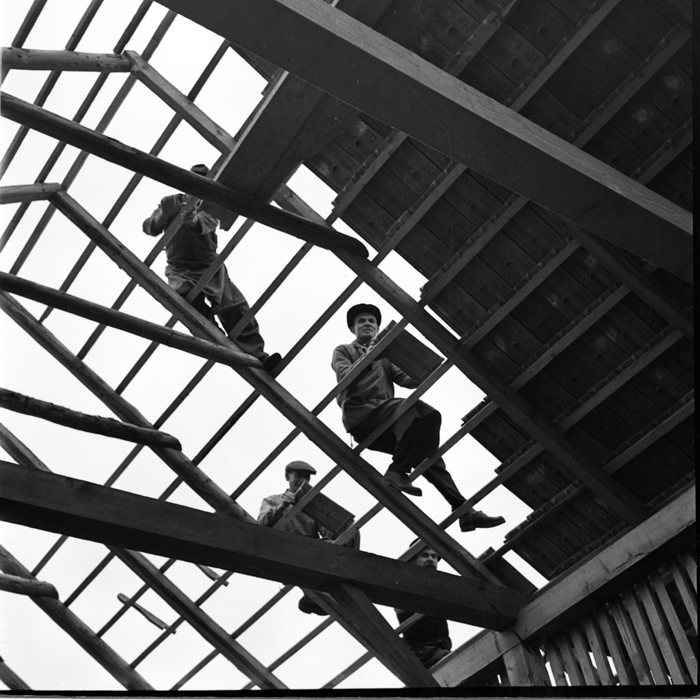 minerva_deak_f_c1_agrar-219