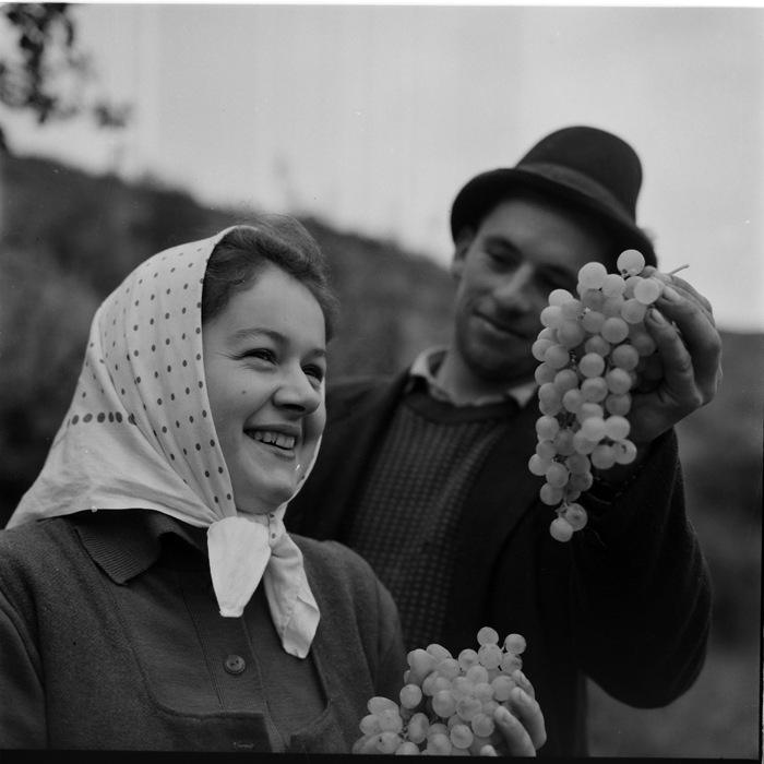 minerva_deak_f_c1_agrar-220