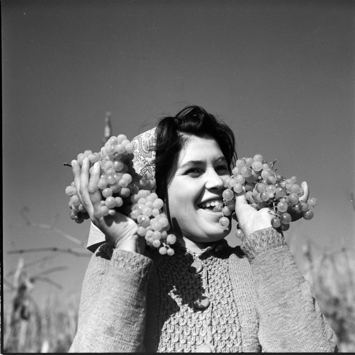 minerva_deak_f_c1_agrar-221