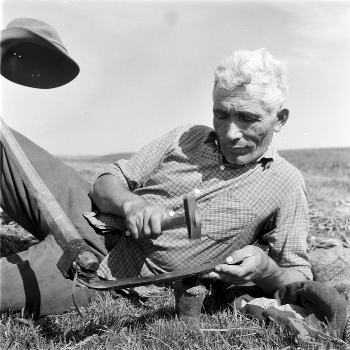 minerva_deak_f_c1_agrar-223