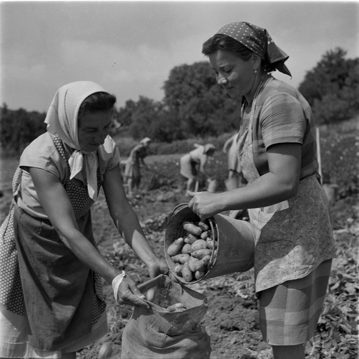 minerva_deak_f_c1_agrar-224