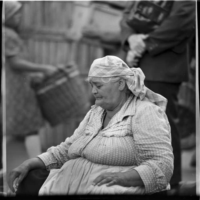 minerva_deak_f_c1_agrar-225