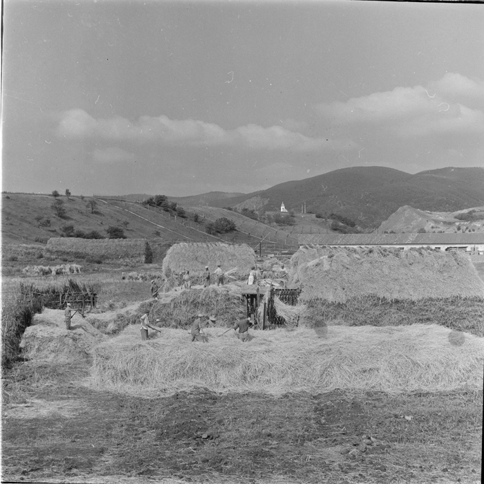 minerva_deak_f_c1_agrar-228