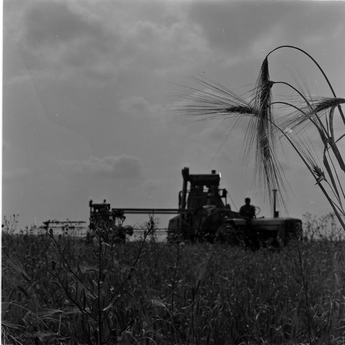 minerva_deak_f_c1_agrar-230