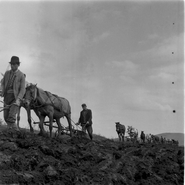 minerva_deak_f_c1_agrar-231