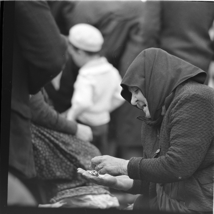 minerva_deak_f_c1_agrar-233