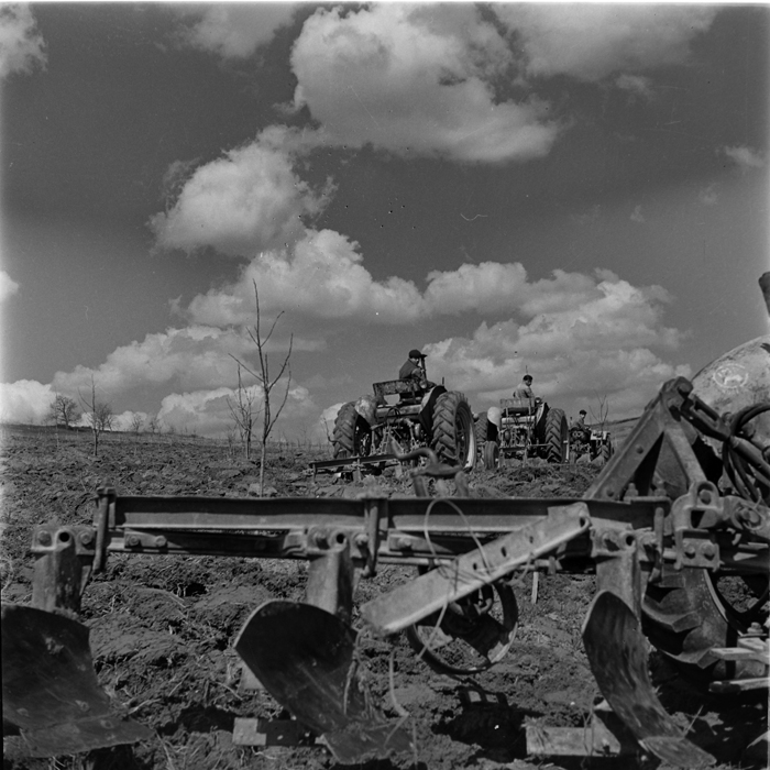 minerva_deak_f_c1_agrar-234