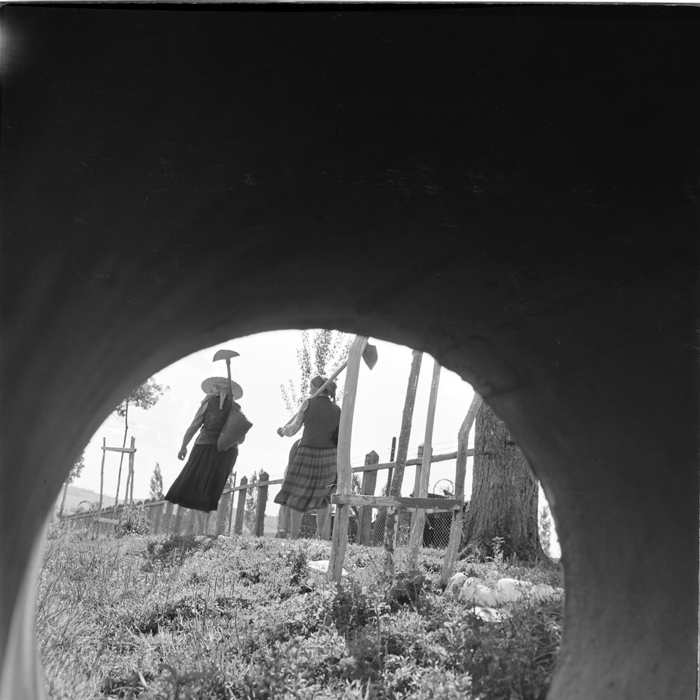 minerva_deak_f_c1_agrar-235