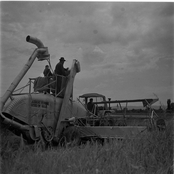 minerva_deak_f_c1_agrar-236