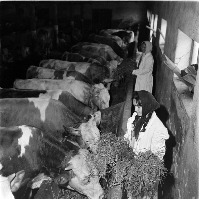 minerva_deak_f_c1_agrar-237