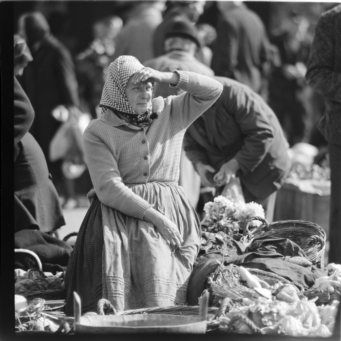 minerva_deak_f_c1_agrar-239