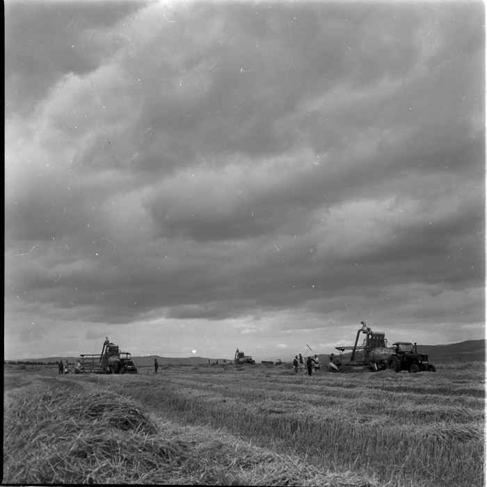 minerva_deak_f_c1_agrar-241