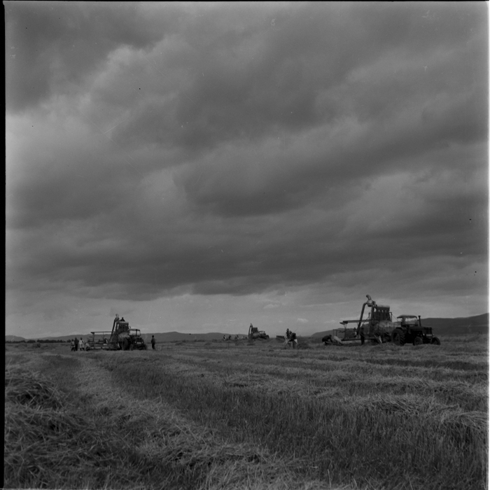 minerva_deak_f_c1_agrar-242